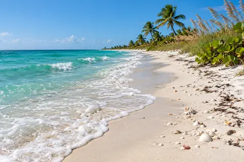 Empty white-sand Gulf beach with sea oats and leaning palms on Cayo Costa